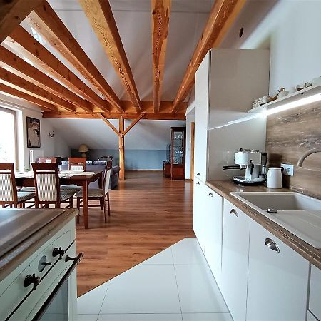 Barytowy Apartament Тарновськє-Гури Екстер'єр фото