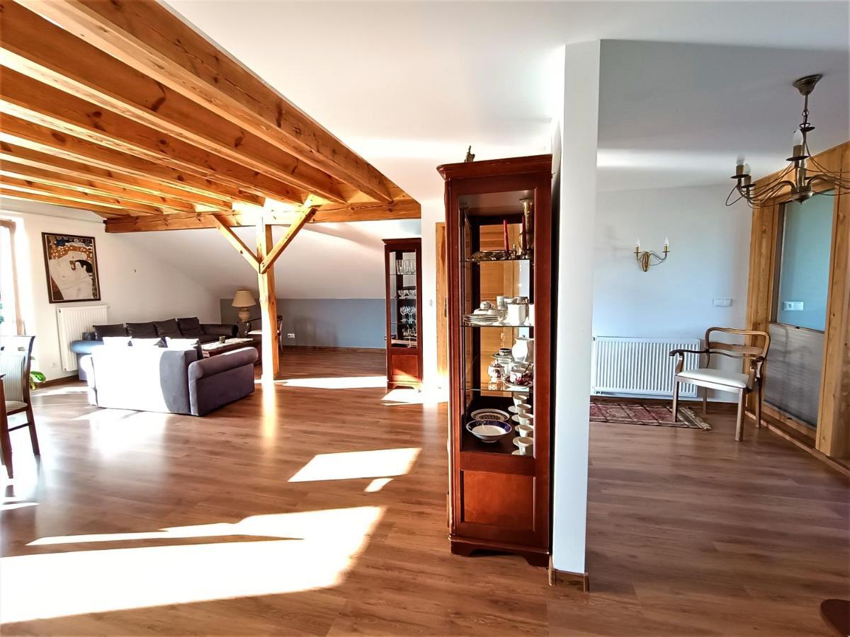 Barytowy Apartament Тарновськє-Гури Екстер'єр фото