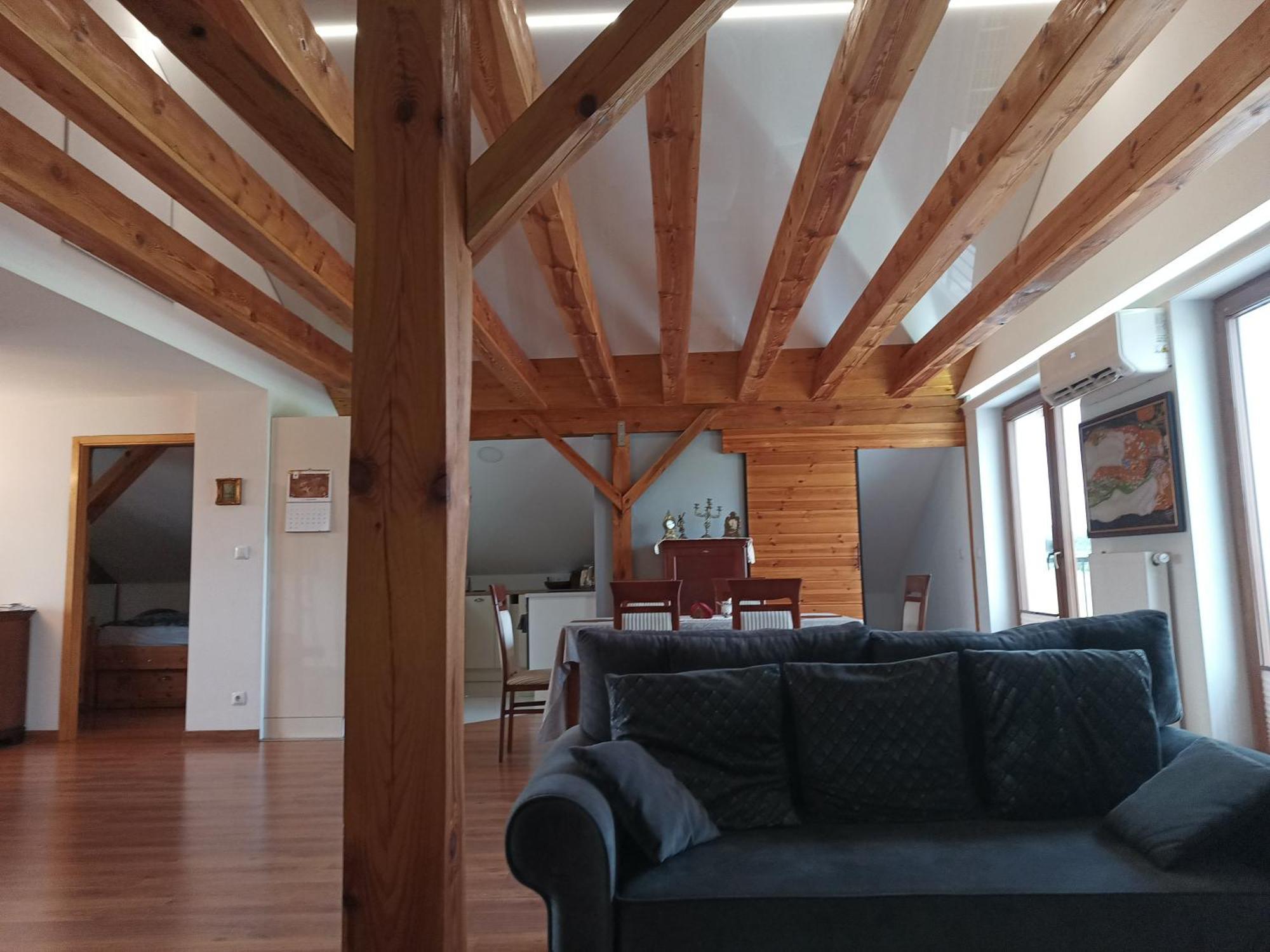 Barytowy Apartament Тарновськє-Гури Екстер'єр фото